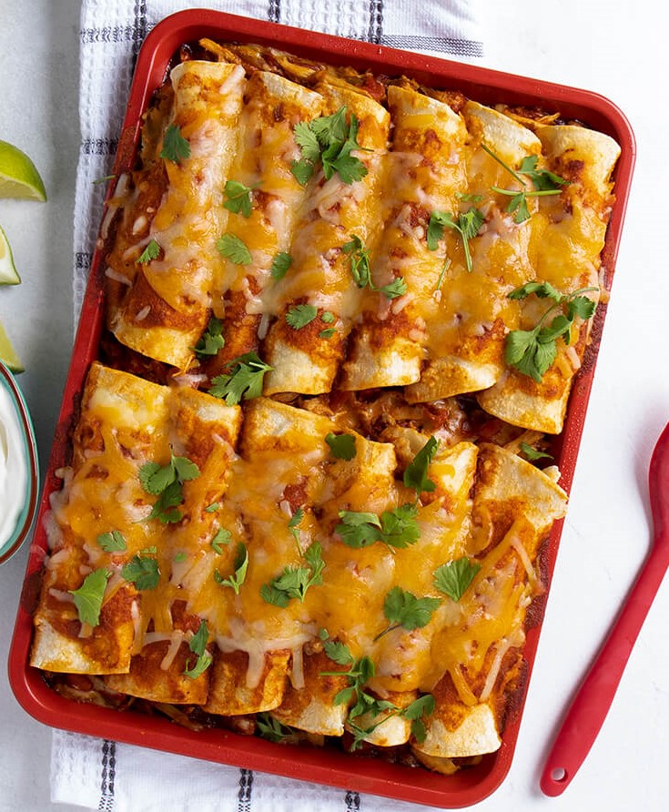 Enchilada Recipes Chicken