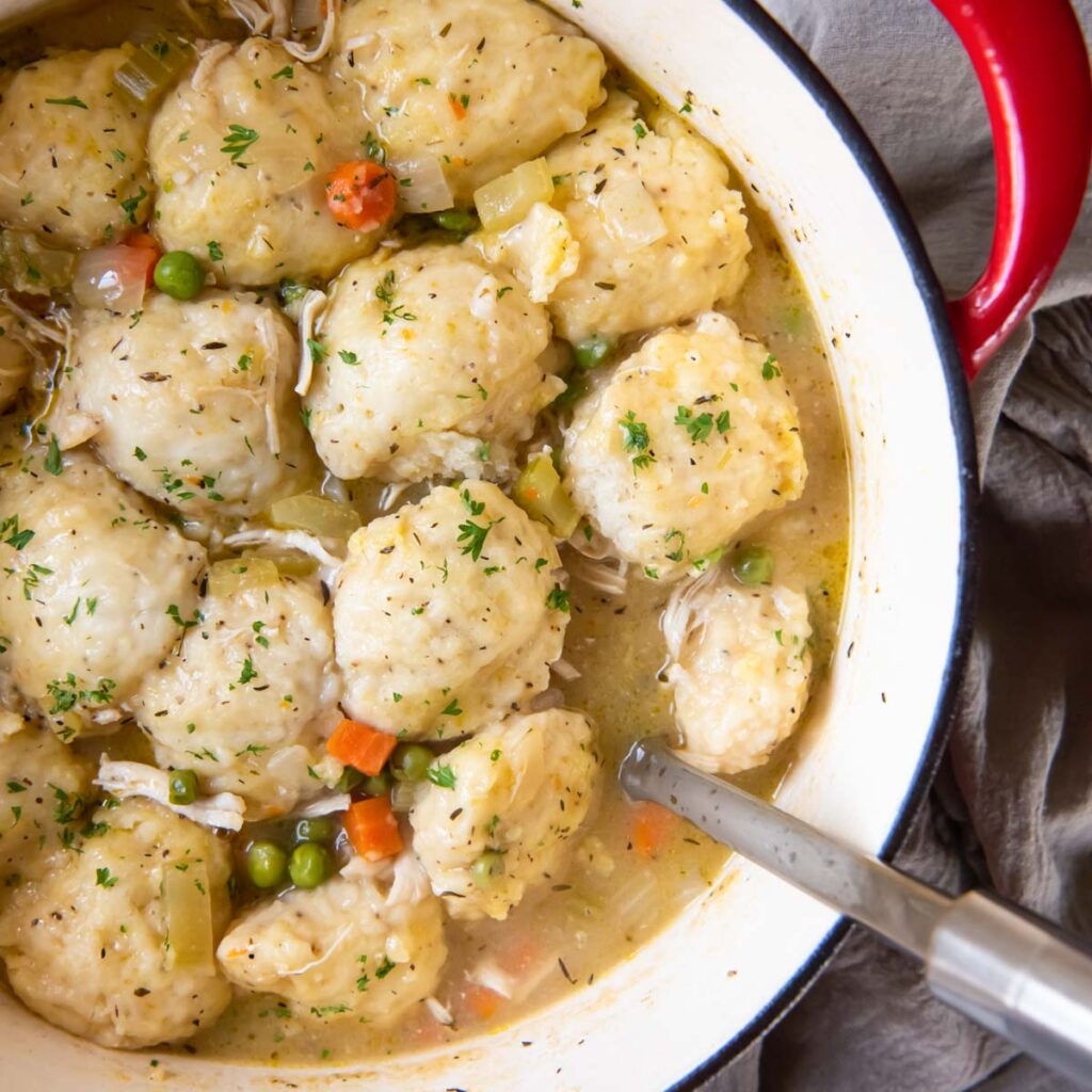 Homemade Chicken Dumpling Recipes